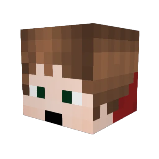 Poachedeggz Minecraft avatar head, 3D render