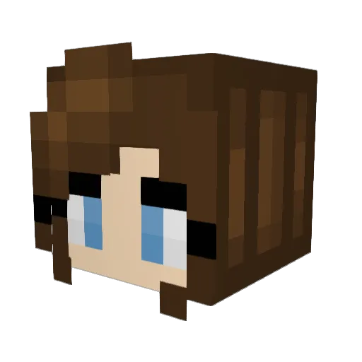 Poatatoooo Minecraft avatar head, 3D render