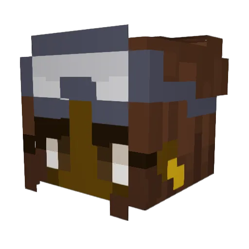 Pocasyo Minecraft avatar head, 3D render