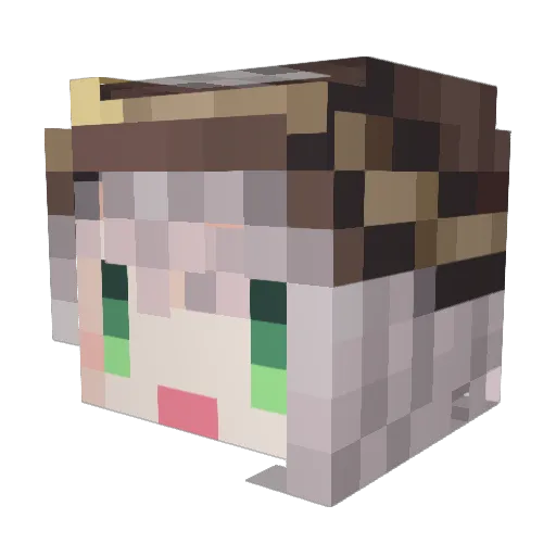 Poccho Minecraft avatar head, 3D render
