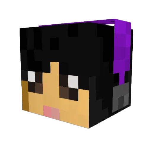 PochaccoKat Minecraft avatar head, 3D render
