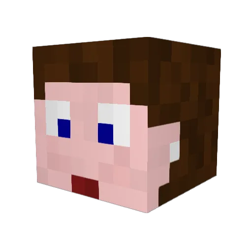 Pochichi Minecraft avatar head, 3D render
