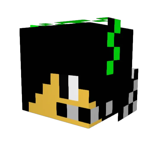 Pochy500 Minecraft avatar head, 3D render