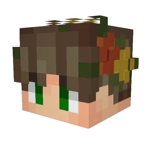 PocketGod_11 Minecraft avatar head, 3D render