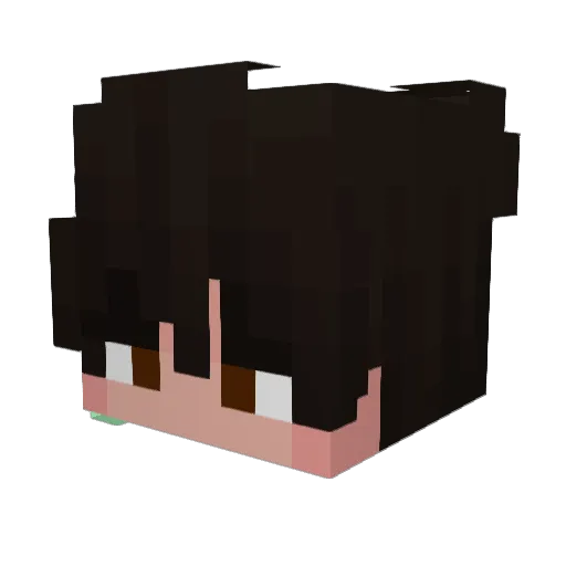 PocketTire Minecraft avatar head, 3D render