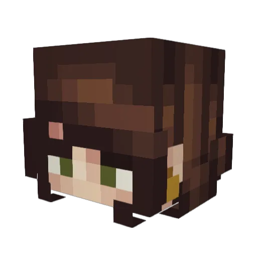 Pocket_Dragon Minecraft avatar head, 3D render