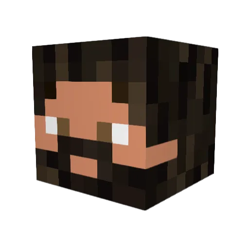 Pocketano Minecraft avatar head, 3D render