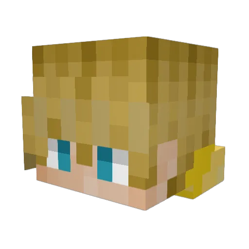 Pocketmage Minecraft avatar head, 3D render