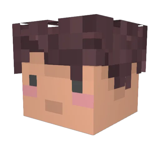 Pocketpally Minecraft avatar head, 3D render