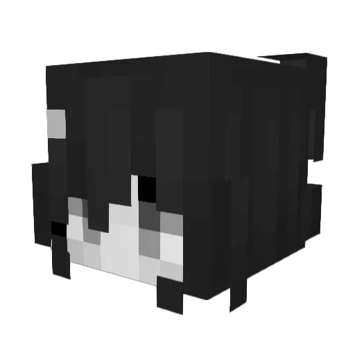 Pocky_owo Minecraft avatar head, 3D render