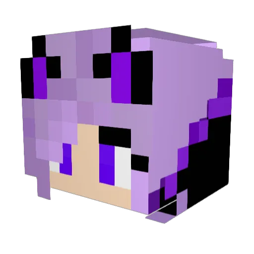 Pockyyy789 Minecraft avatar head, 3D render