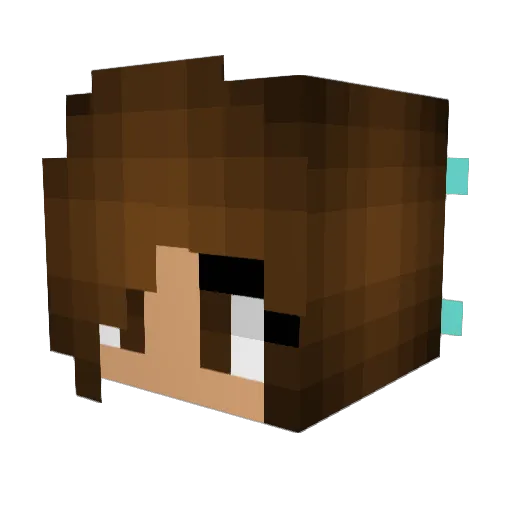 Pockz Minecraft avatar head, 3D render