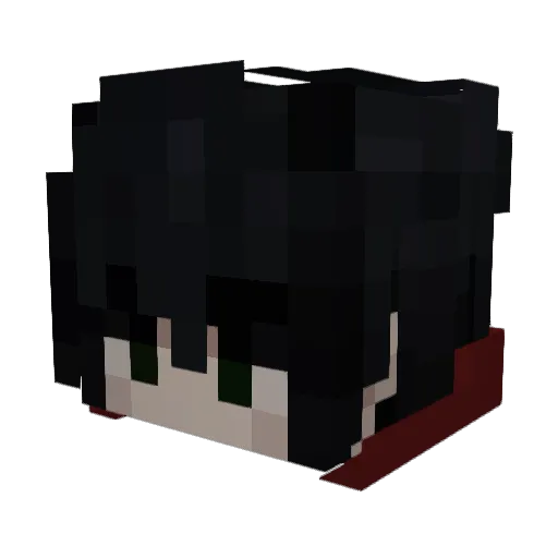 Poco_Loco2 Minecraft avatar head, 3D render