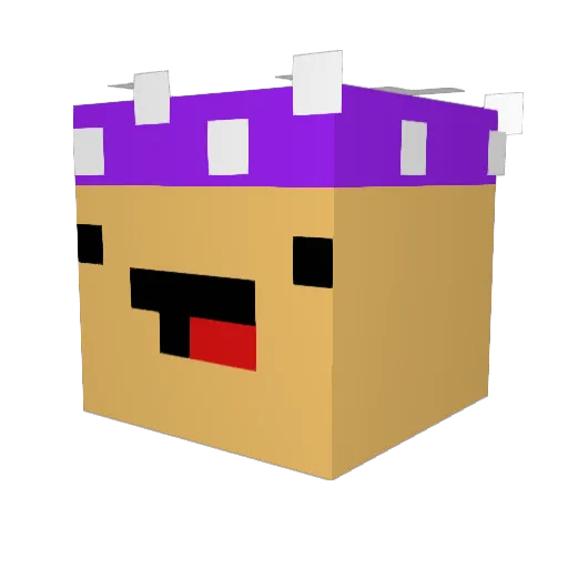 Pocodudeface Minecraft avatar head, 3D render