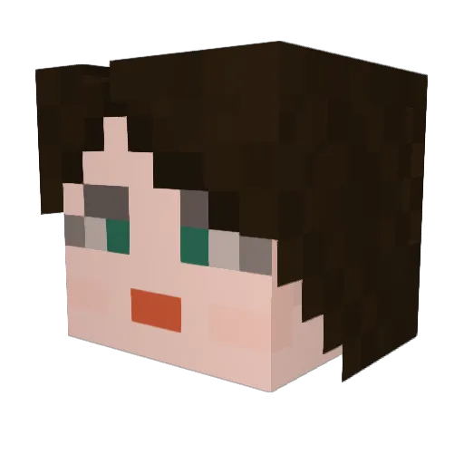 Poctivy_Ani Minecraft avatar head, 3D render