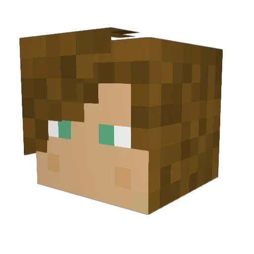 Pocty2 Minecraft avatar head, 3D render