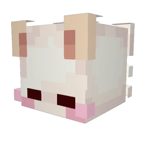 Pocupan Minecraft avatar head, 3D render