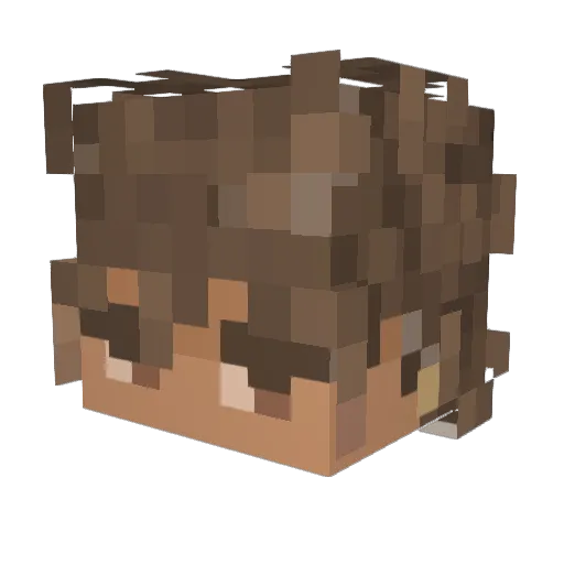 Poczel Minecraft avatar head, 3D render