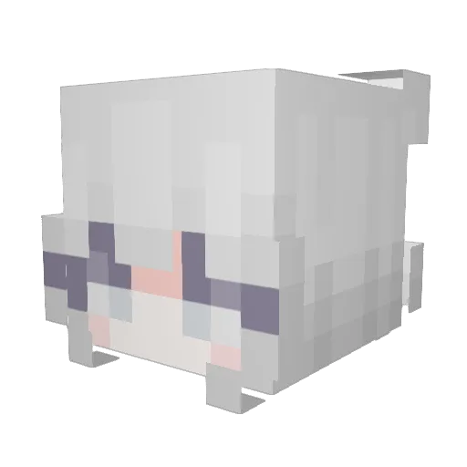 PodageeShay Minecraft avatar head, 3D render