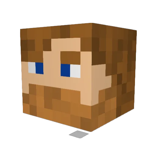 Podalirius93 Minecraft avatar head, 3D render