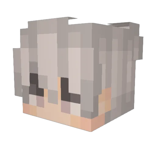 Podgi77 Minecraft avatar head, 3D render