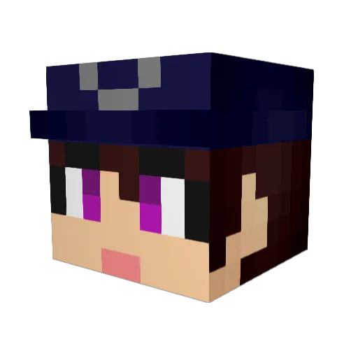Podo_BR14 Minecraft avatar head, 3D render
