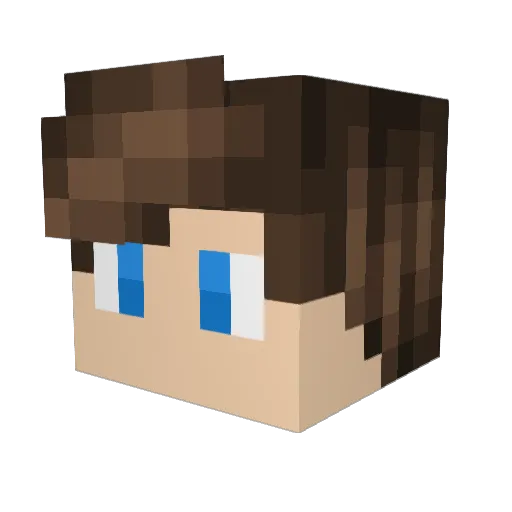 PoeHero1302 Minecraft avatar head, 3D render