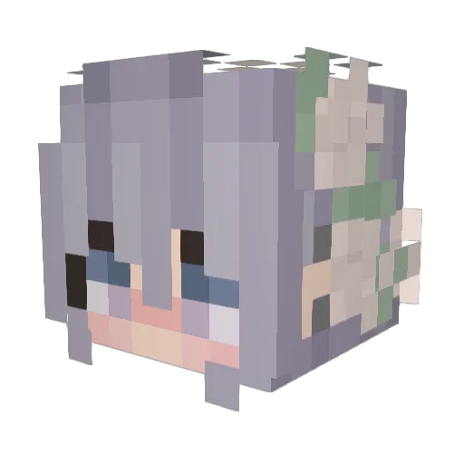 Poegel Minecraft avatar head, 3D render