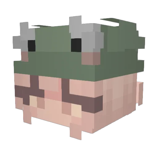Poekem Minecraft avatar head, 3D render