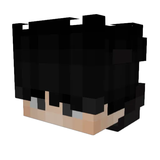 Poelseeee Minecraft avatar head, 3D render