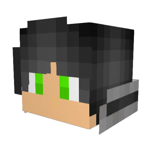 Poem1212 Minecraft avatar head, 3D render