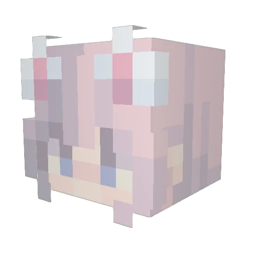 Poembook Minecraft avatar head, 3D render