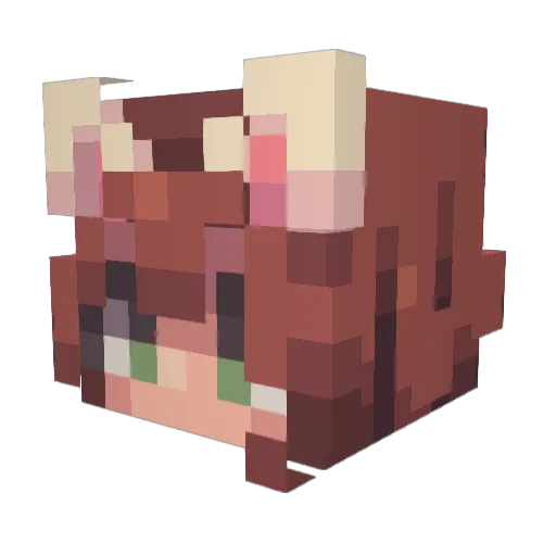 Poemzy Minecraft avatar head, 3D render