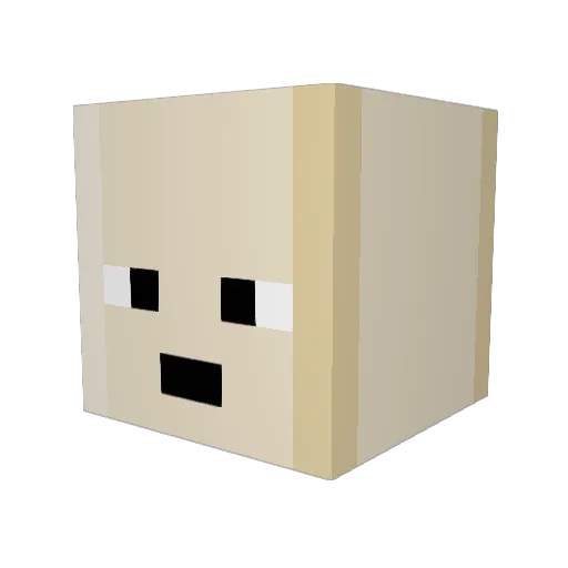 Poephol16 Minecraft avatar head, 3D render