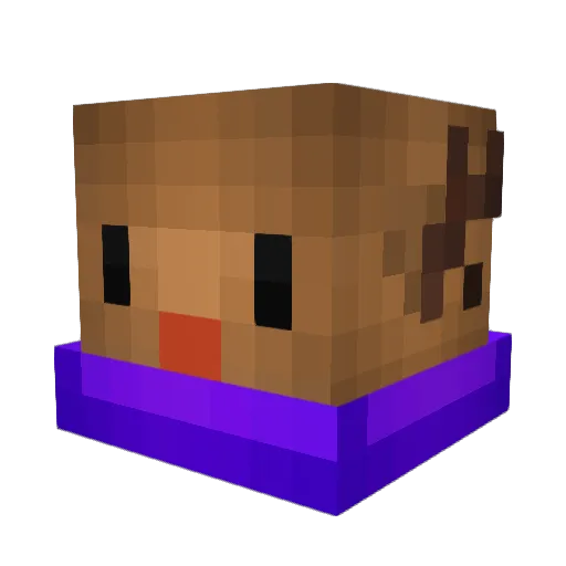 Poetic8 Minecraft avatar head, 3D render
