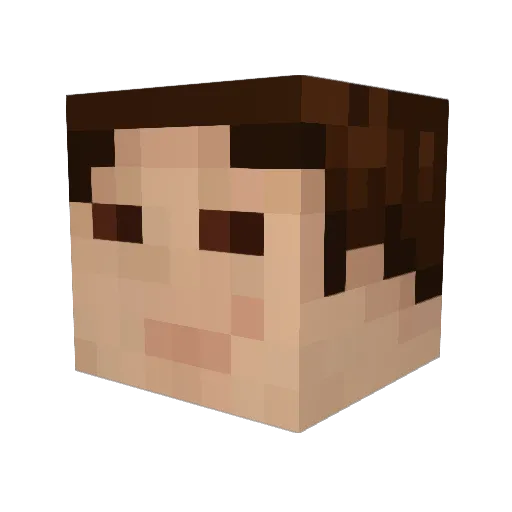 Poette_ Minecraft avatar head, 3D render