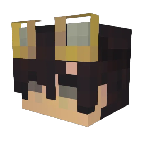 Poetter Minecraft avatar head, 3D render