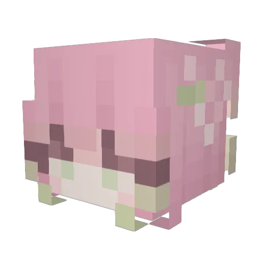 Poety_ Minecraft avatar head, 3D render