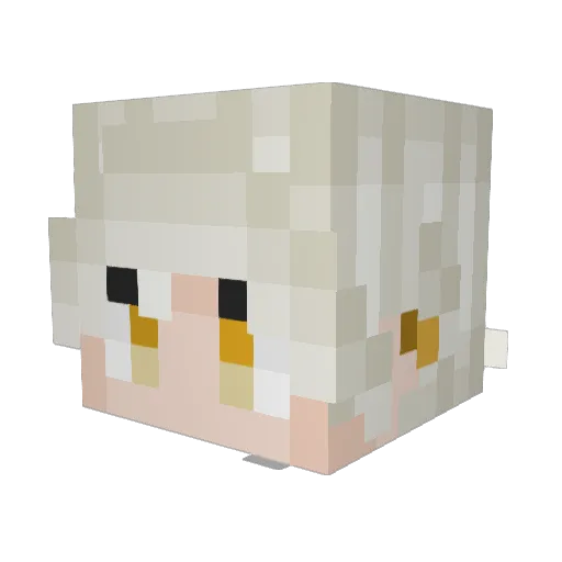 Poex87 Minecraft avatar head, 3D render