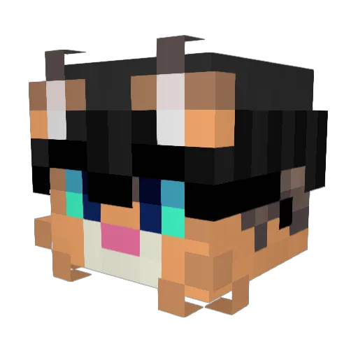 PogChoke Minecraft avatar head, 3D render