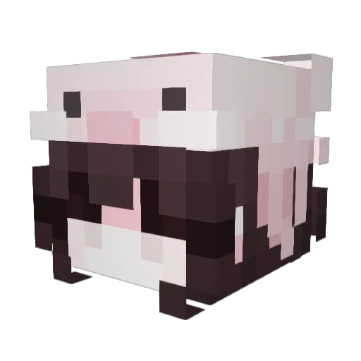 PogStrawberrys Minecraft avatar head, 3D render