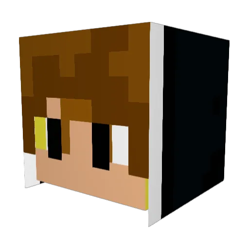 PogSwaggins Minecraft avatar head, 3D render
