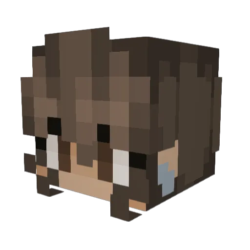 PogTabby Minecraft avatar head, 3D render