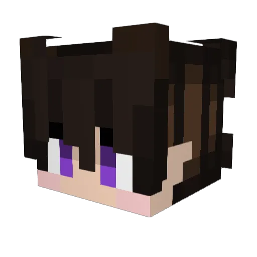 Pogex Minecraft avatar head, 3D render