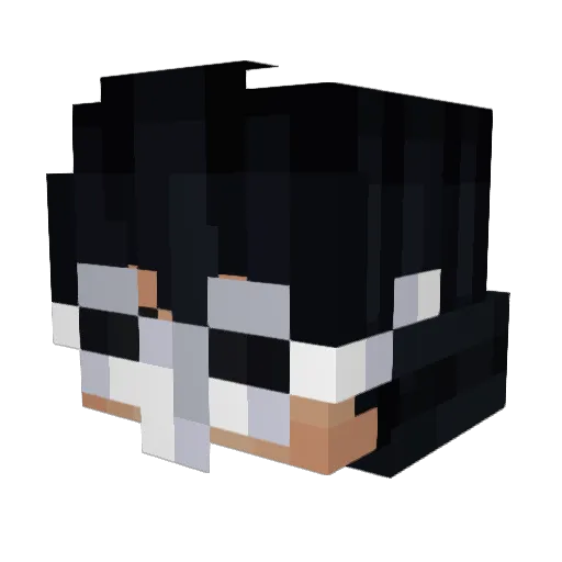 PoggePoggin Minecraft avatar head, 3D render