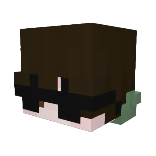 PoggerPhish Minecraft avatar head, 3D render