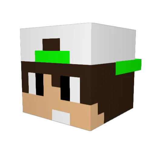 Poggie33 Minecraft avatar head, 3D render