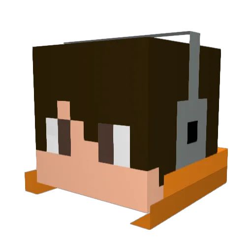 Pogle4 Minecraft avatar head, 3D render