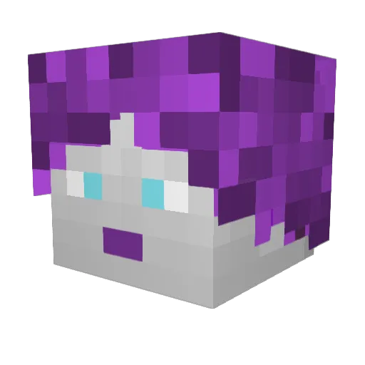 PogoMtr Minecraft avatar head, 3D render