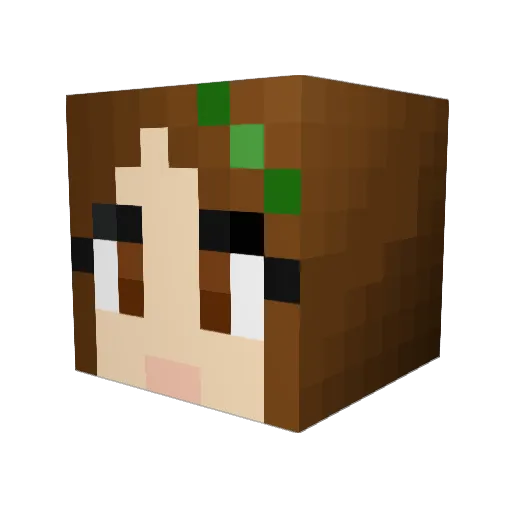 Pogocat Minecraft avatar head, 3D render